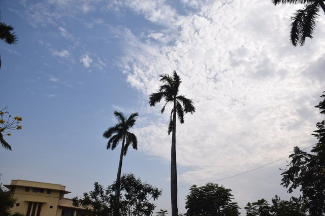 फोटो सोर्स: Patrika