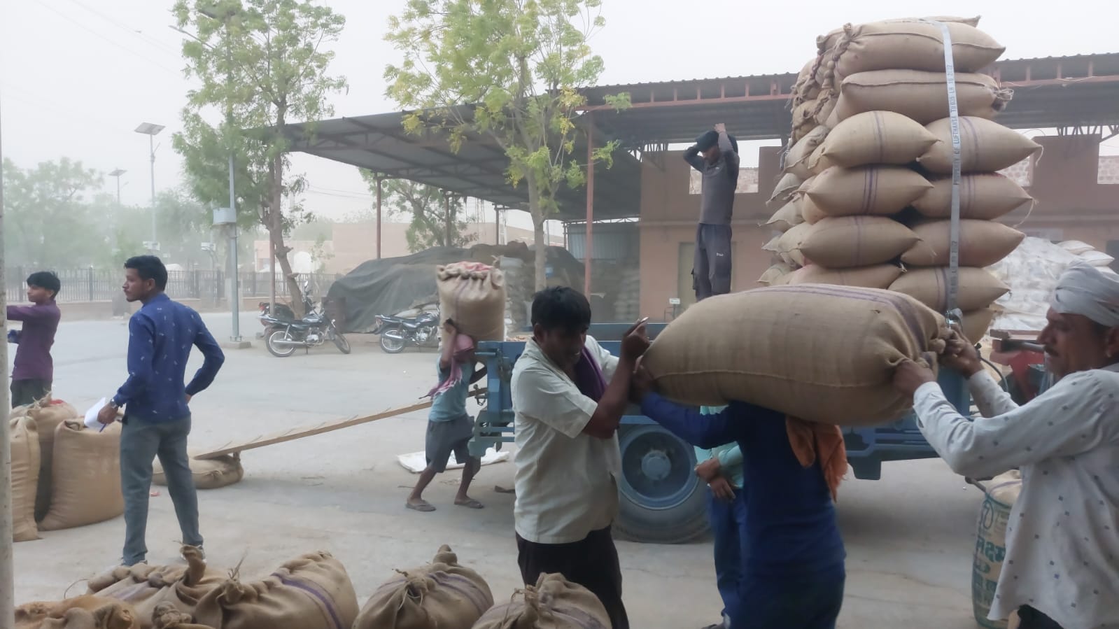 Nagaur patrika…जीरे एवं ईसबगोल के साथ अन्य जिंसों के भावों में कमी से काश्तकार
मायूस…VIDEO