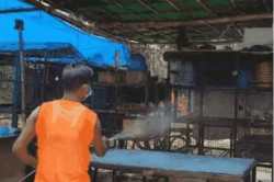 गोरखपुर में बर्ड फ्लू का अलर्ट, चिड़ियाघर से चिकन की दुकान तक सैंपल मिले पॉजिटिव - image