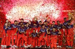 IPL 2025 Prize Money: विजेता-उपविजेता के साथ ये खिलाड़ी हुए मालामाल, किसे कौन सा
अवॉर्ड और कितना पैसा मिला, पढ़ें पूरी लिस्‍ट - image