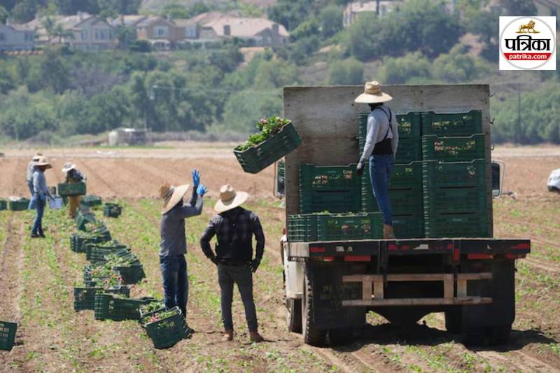 Immigration Raids Suspended in US Hospitality Sector