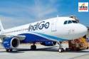 IATA Chief Defends India's Aviation Policy Amidst Gulf Pressure