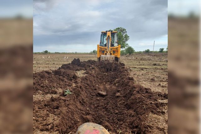 jcb action