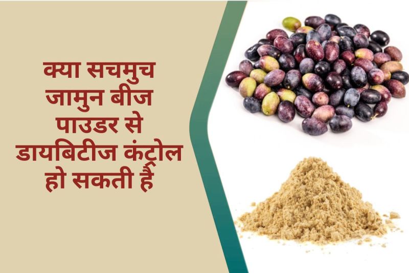 Jamun Seeds Powder Benefits for Diabetes