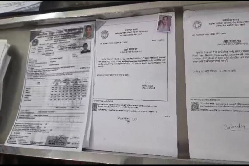 fake ews certificate