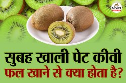 Kiwi Benefits: इम्यूनिटी बूस्ट से लेकर डाइजेशन तक, खाली पेट कीवी खाने के 5 फायदे - image