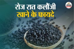 Kalonji Powder: रोज रात में सोने से पहले एक चम्‍मच भुना हुआ कलौंजी खाने से सेहत
को मिल सकते 4 बड़े फायदे - image