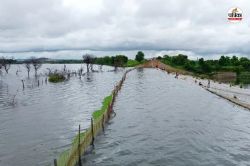 Rajasthan Monsoon: राजस्थान में मानसून की मेहरबानी के बीच अच्छी खबर, 25 साल में
तीसरी बार ये बांध छलकने को आतुर - image