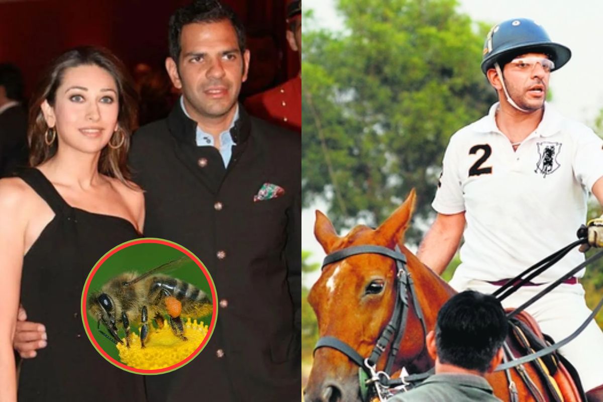Sunjay Kapur की मौत की वजह बनी मधुमक्खी! हार्ट अटैक से पहले हुआ था कुछ ऐसा