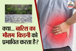 Kidney Health: बारिश के मौसम में कैसे रख सकते हैं किडनी को फिट? जानिए जरूरी
हेल्थ टिप्स - image