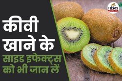 Kiwi Side Effects: कीवी खाने से पहले इन बातों का रखें ध्यान, इन 5 लोगों के लिए
है नुकसानदेह - image