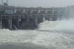 Monsoon Rain: मानसून की पहली बारिश में आई कोटा बैराज से बड़ी खुशखबरी, खोल दिया 1
गेट, देखें वीडियो - image