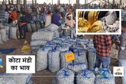 Mandi News: धान 100 तो चना 50 रुपए मंदा, चांदी हुई तेज, सोने के भावों में आई
गिरावट, जानें Gold-Silver Price - image