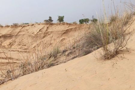 Sridungargarh land mafia