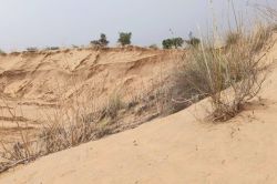 Bikaner: सरकारी जमीनों पर भूमाफिया की गरज रही JCB, बेशकीमती भूमि पर बेखौफ काटी
जा रही कॉलोनियां - image