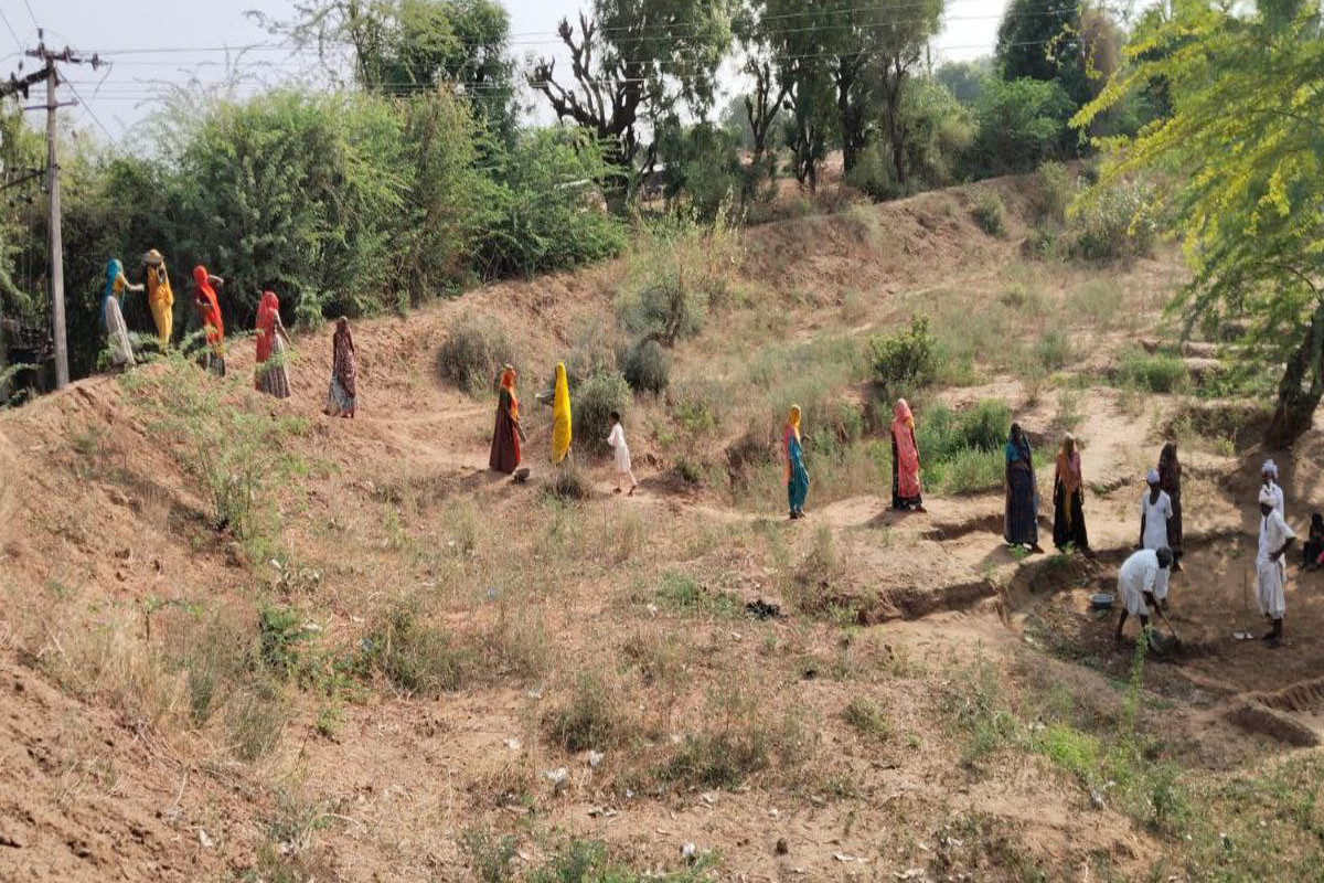 MNREGA: जालोर ग्रामीण में 70 हजार श्रमिक, 36 हजार से अधिक जॉबकार्ड जारी, रोजगार
मिल रहा मात्र 3 हजार को