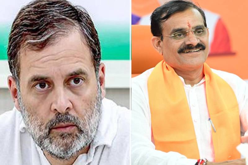MP BJP on Rahul Gandhi Statement