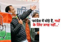 राहुल के घोड़ों वाले बयान पर कांग्रेस नेता का कमेंट, संगठन सृजन में बीजेपी को
घेरा - image