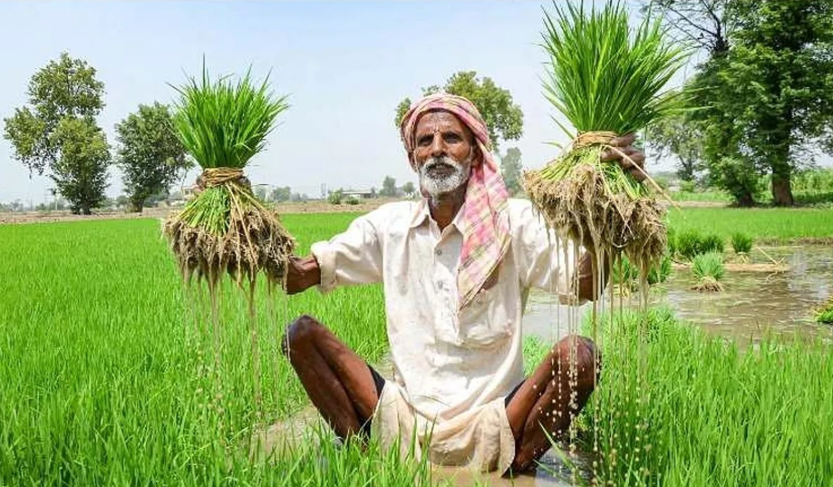 PM Kisan की 20वीं किश्त का इंतज़ार कर रहे बिहार के किसानों को नीतीश सरकार ने दी
कमाई बढ़ाने की ये सलाह