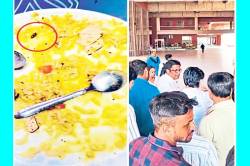 खाने में निकला कॉकरोच, यूनिवर्सिटी में मचा हड़कंप, एमबीए स्टूडेंट्स ने डायरेक्टर
को घेरा - image