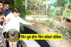 एमपी में फिर शुरू होगा ‘किंग कोबरा’ प्रोजेक्ट, वन विभाग ने शुरू की तैयारी - image