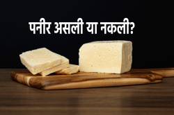 कहीं सब्जी में पनीर की बजाय एनालॉग तो नहीं खा रहे आप, असली या नकली… कैसे
पहचानें? - image