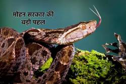 मध्य प्रदेश में पहली बार सांपों को लेकर बजट जारी, वजह बड़ी गंभीर - image
