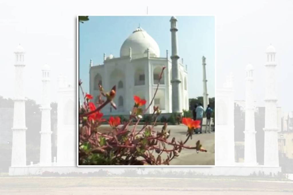 MP Tajmahal Outside