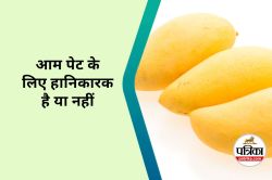 Mango for Gut Health : क्या आम खाना आंतों के लिए हानिकारक हो सकता है, जानिए - image