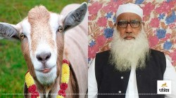 UP News: ईद उल अज़हा पर मौलाना का संदेश, परदे में करें कुर्बानी, सोशल मीडिया से
रहें दूर - image
