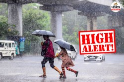 ट्रफ लाइन ने बदला ‘मानसून का मिजाज’, IMD ने दी 27 जिलों में ‘वेरी हेवी रेन’ की
चेतावनी - image