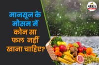 Unhealthy fruits during rainy season