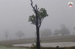 Monsoon in Surguja: सरगुजा संभाग में भी मॉनसून की दस्तक, मैनपाट में मौसम हुआ
सुहाना उमस भरी गर्मी से मिली राहत - image