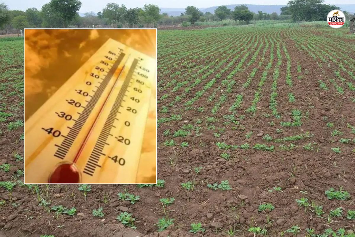 राजस्थान में नौतपा से खरीफ फसलों पर छाया संकट का बादल, घटेगा उत्पादन, किसान
चिंतित