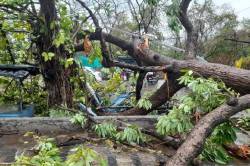तेज आंधी तूफान और बारिश का कहर, पेड़ गिरने और टीन शेड उड़ने से अंधेरे में डूबा
शहर - image