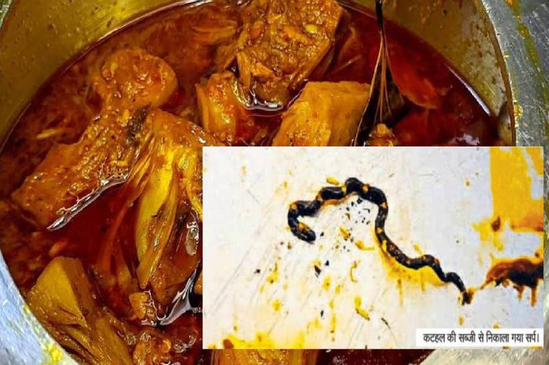 (फोटो सोर्स: पत्रिका)