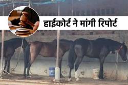 हैदराबाद-जबलपुर घोड़ों की रहस्यमयी मौत, सट्टा कनेक्शन दावे के बाद मोहन सरकार को
नोटिस - image