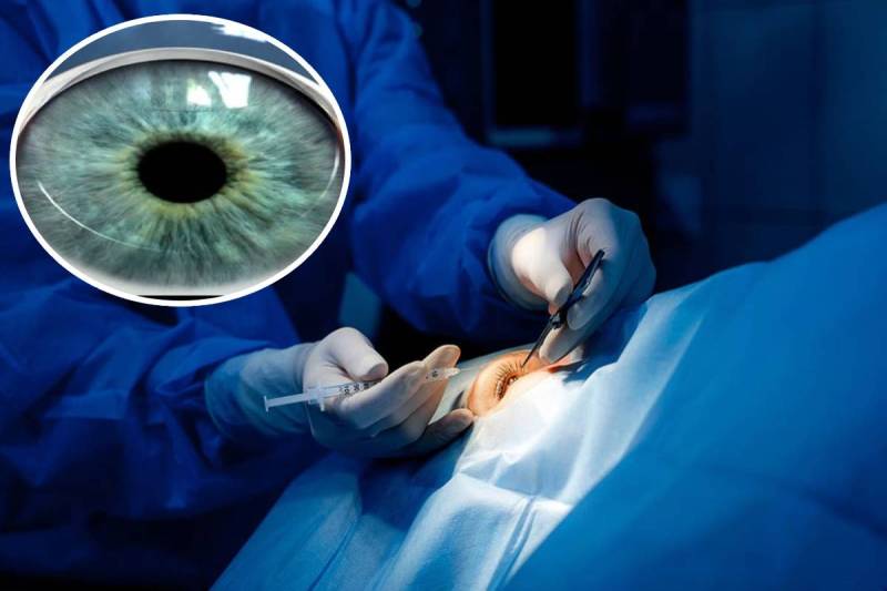 (फोटो सोर्स: पत्रिका)