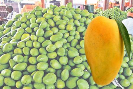 (फोटो सोर्स: पत्रिका)
