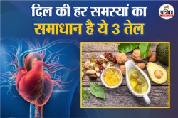 Best Oil For Heart: दिल के लिए दवा हैं ये 3 तेल, इनका सेवन दिल की बीमारी से बना
देता है दूरी - image