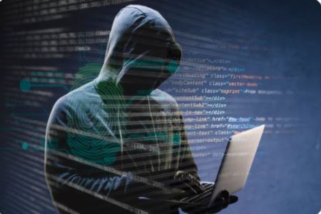 Online Fraud