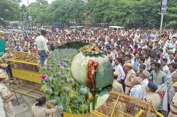 राजस्थान में अफीम किसानों का जोरदार प्रदर्शन, पुलिस को लगाने पड़े बैरिकेड्स,
डोडा चूरा से जुड़ा है मामला - image