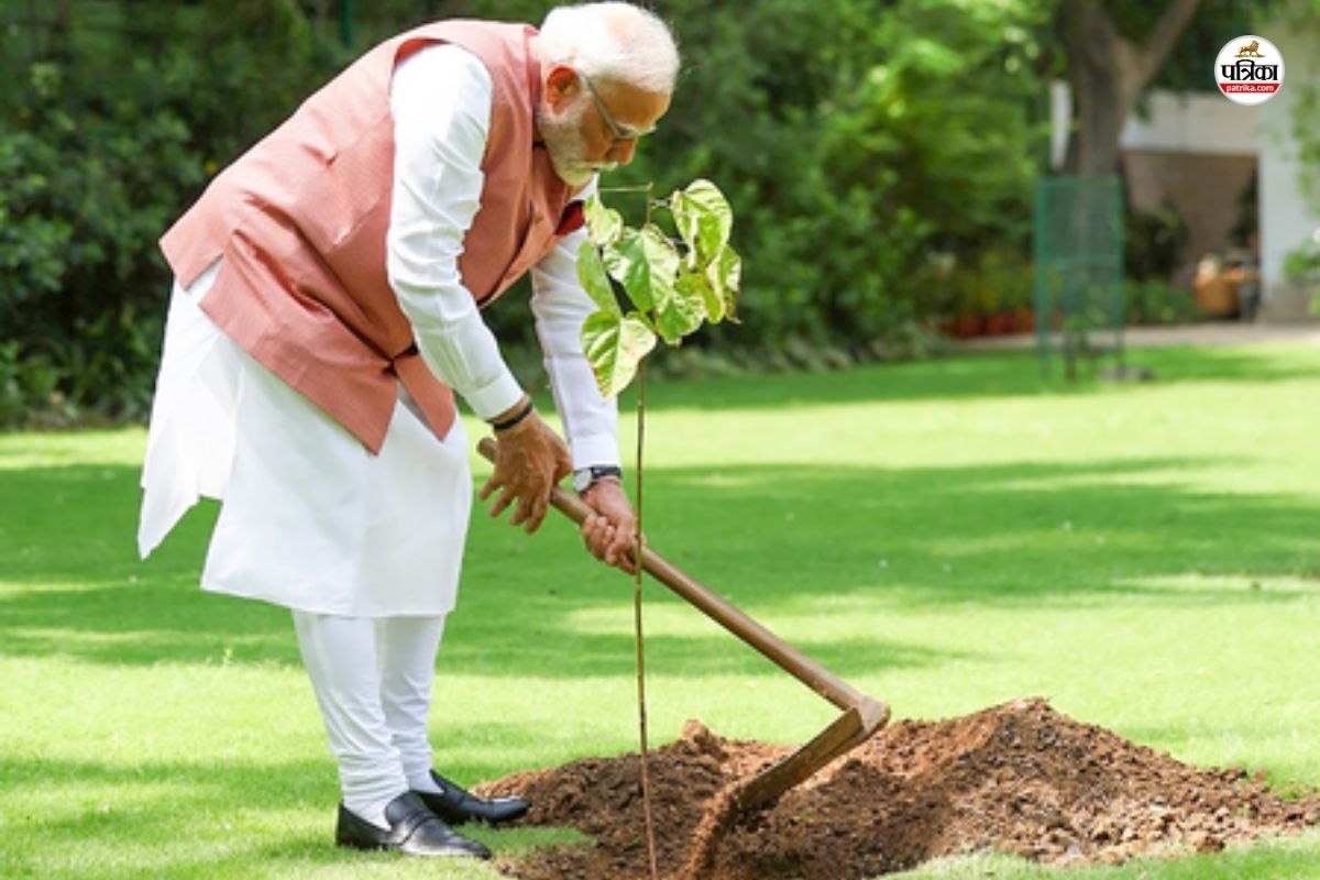 ऑपरेशन सिंदूर के बाद पहला पर्यावरण दिवस, PM मोदी ने लगाया सिंदूर का पौधा, जानिए
किसने किया भेंट? - image