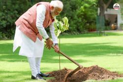 ऑपरेशन सिंदूर के बाद पहला पर्यावरण दिवस, PM मोदी ने लगाया सिंदूर का पौधा, जानिए
किसने किया भेंट? - image