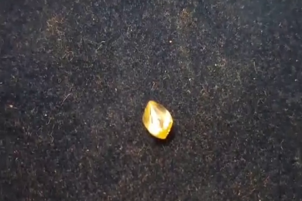 Panna Women Found Diamond