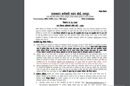 RSMSSB VDO Vacancy 2025