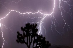 Rain Alert: 7 राज्यों में ऑरेंज अलर्ट, तेज हवाएं-गरज-चमक के साथ होगी बारिश - image
