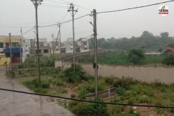 Yellow alert: 3 दिन से लगातार हो रही बारिश, IMD ने सरगुजा, बलरामपुर और सूरजपुर
में जारी किया येलो अलर्ट - image