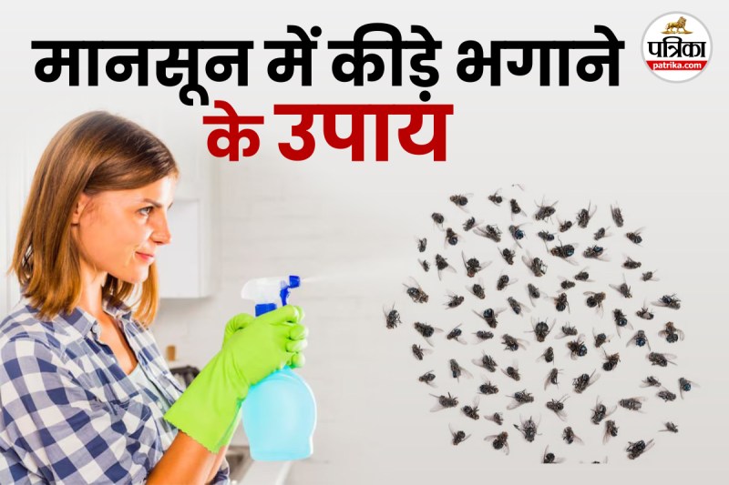 DIY insect spray home remedy