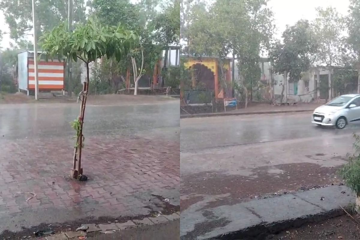 Heavy Rain: राजस्थान के इन जिलों में झमाझम बारिश, दुकानों के उड़े टीन शेड, कई
जिलों में IMD का ऑरेंज अलर्ट